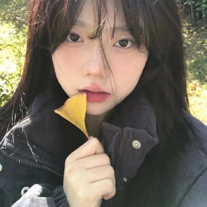 真正的正义4