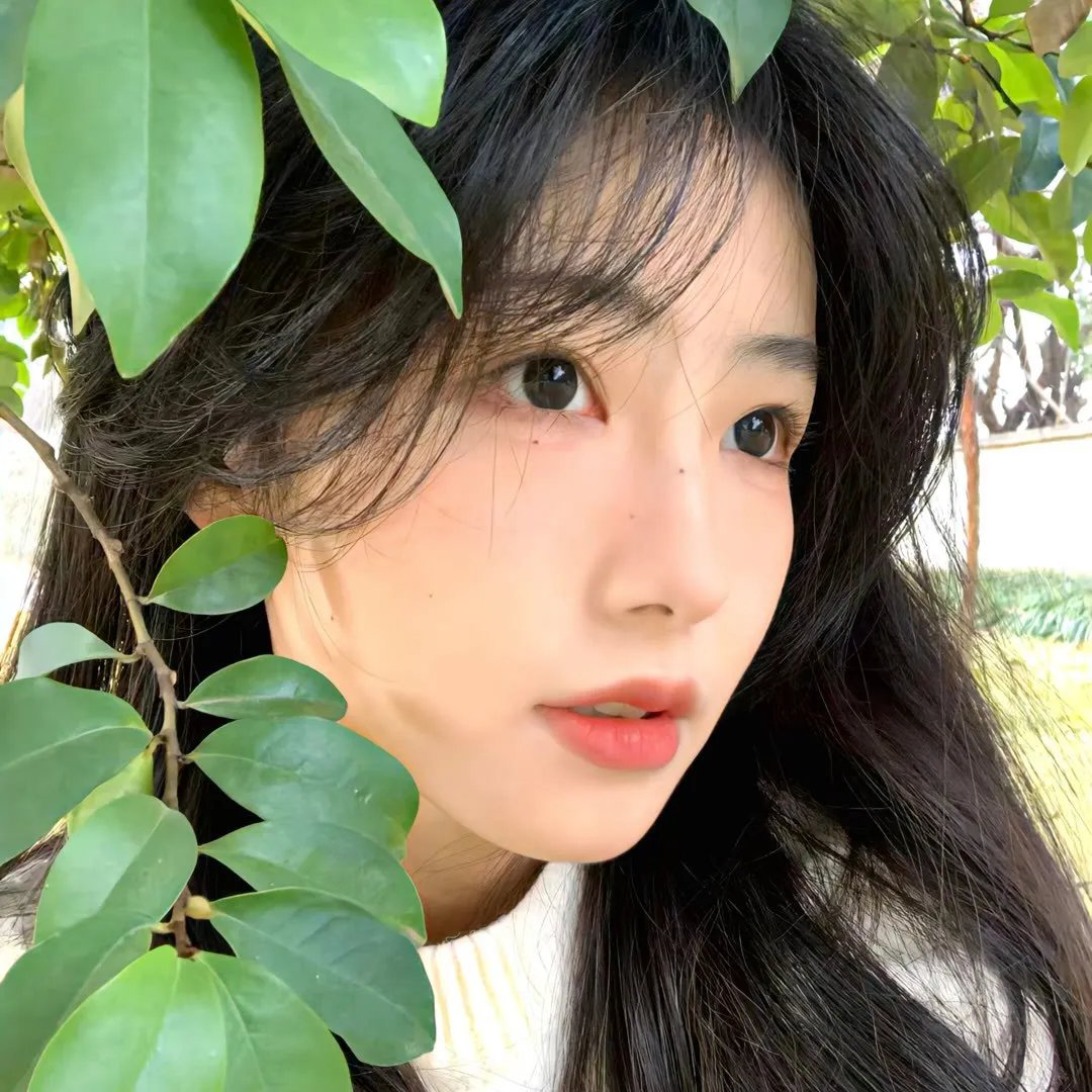 谍影行动